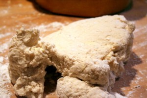 IMG_13911-e1266701489527 Southern Buttermilk Biscuits- A Primer