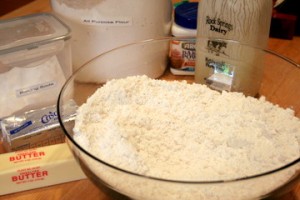 IMG_1446-e1266701202744 Southern Buttermilk Biscuits- A Primer