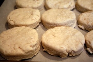 IMG_1449-e1266701563476 Southern Buttermilk Biscuits- A Primer